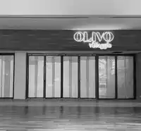 Olivo